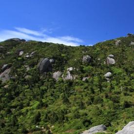 一览众山小 屋久岛宫之浦山 花之江河一日登山之旅 酒店接送 Liigo