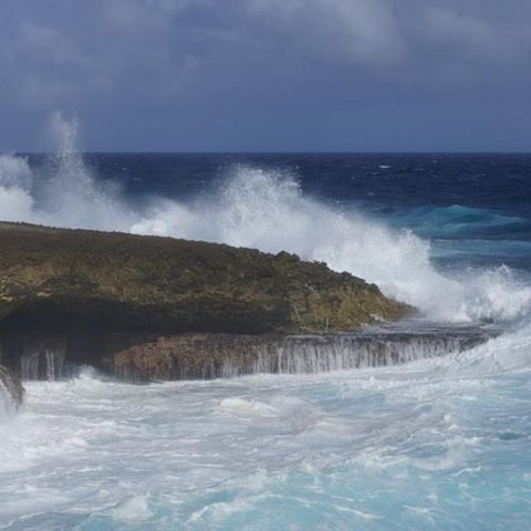 キュラソー島 ツアー 文化体験 ご当地カルチャー グルメなど Liigo