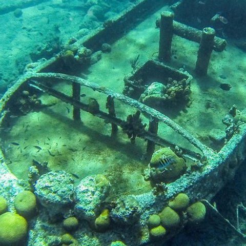 キュラソー島 ツアー 文化体験 ご当地カルチャー グルメなど Liigo