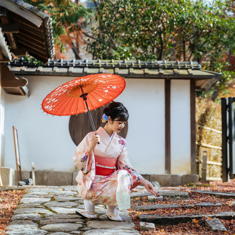 桜 京 販売 着物 レンタル