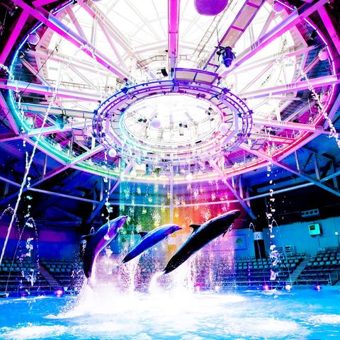 東京水族館 Aqua Park 品川水族館門票 Liigo