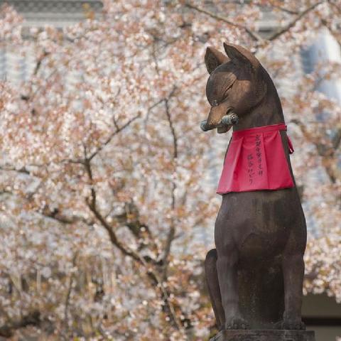 伏見稲荷大社 清水寺 金閣寺 嵐山 1日バスツアー 定番観光地を1日で巡る 選べるバスのみ Or 昼食 拝観料付きプラン