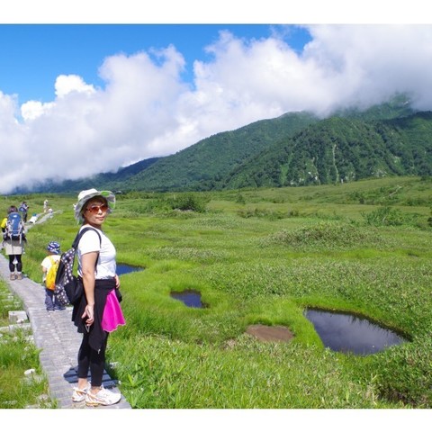 富山 立山 立山遊覽 Midagahara路線 濕地導遊陪同參觀高山植物和蝴蝶 Liigo